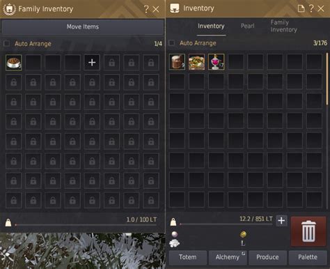 bdo inventory slots